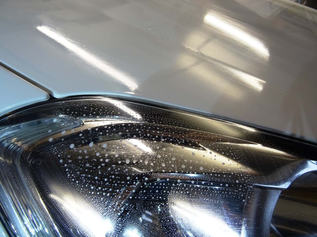 Dents & Detail